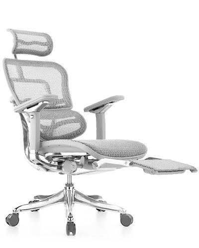 Ergohuman Luxury Platinum Mesh with Legrest Office Chair Front View