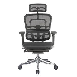 Ergohuman V2 Elite EHPE-AB-HAM