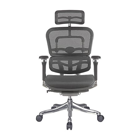 Ergohuman Luxury Mesh Chair