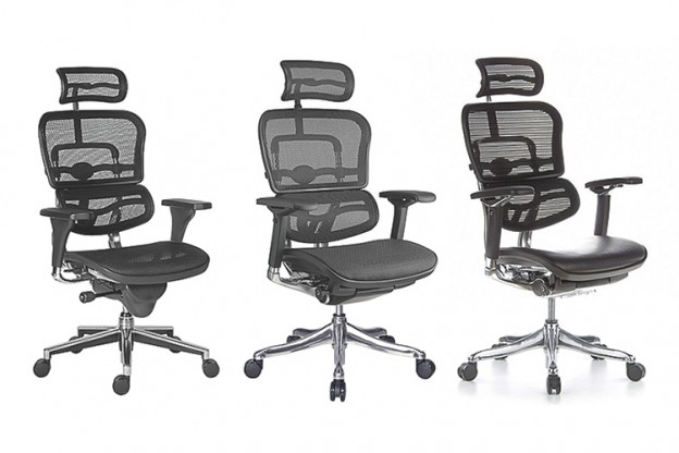 Models available of ergohuman office chair