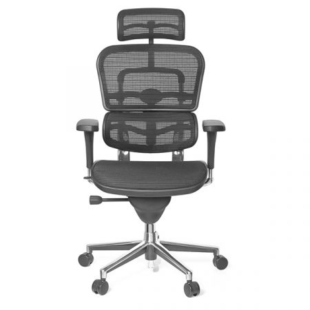 Ergohuman Classic V1 ergonomic office chair