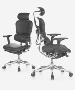 Ergohuman Elite V2 office chair