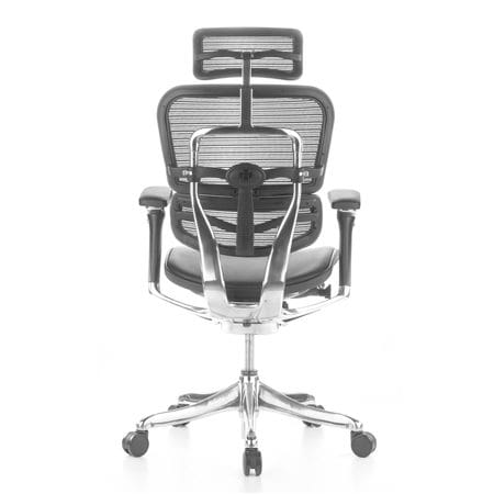 Ergohuman Luxury Leather Mesh Combo - Image 2