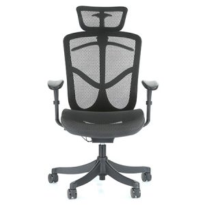 Brant ergonomic office chair with headrest by Ergohuman front view