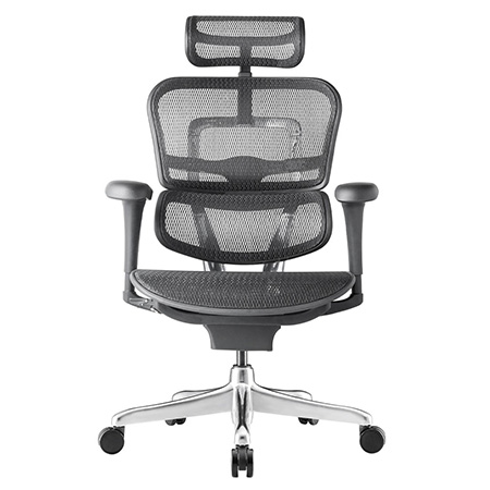 Ergohuman 2 Project ergonomic office chair with headrest