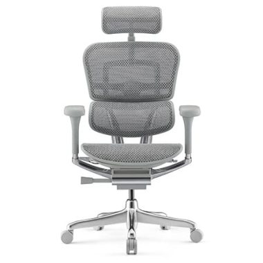 Ergohuman 2 Elite Platinum office chair front view