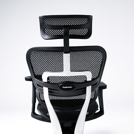 Rear view of Ergohuman 2 Project ergonomic chair