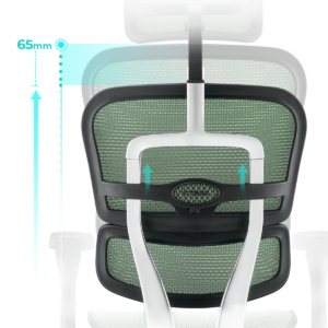 Height adjustment on the back rest of the Ergohuman 2 office chair