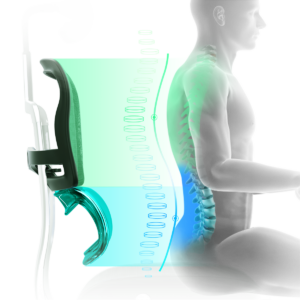 The upper back and lumbar support on an Ergohuman 2 ergonomic chair are independent of each other to mould to the shape of your back