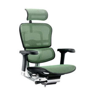 Ergohuman 2 office chair