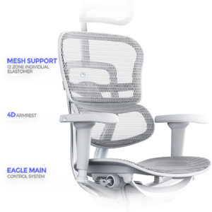 Ergohuman 2 office chair