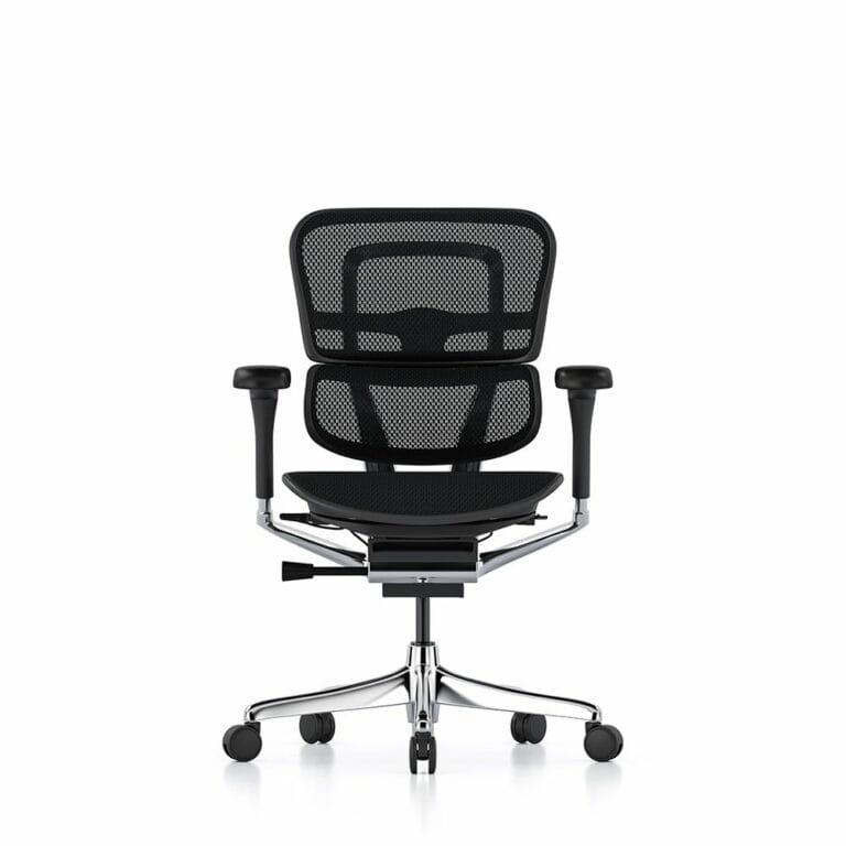 Ergohuman 2 Elite office char without headrest from view