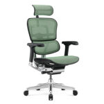 Ergohuman 2 Elite office chair with black frame and green mesh
