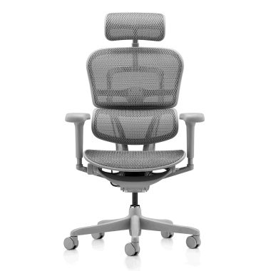 Ergohuman ultra Mesh in grey front view