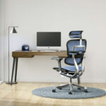 Ergohuman Ergonomic Office Chair in cobalt blue