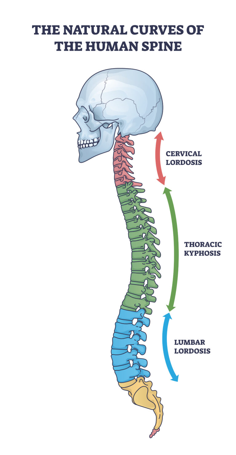 AdobeStock 1445365549