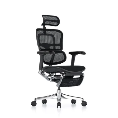 Ergohuman 2 Elite Mesh II Legrest