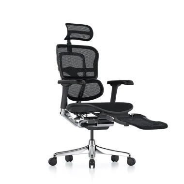 Ergohuman 2 Luxury SE Mesh Black Legrest near new incl del Sydney