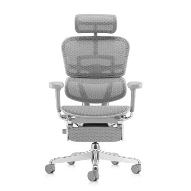 Ergohuman 2 Elite Platinum Mesh II Legrest
