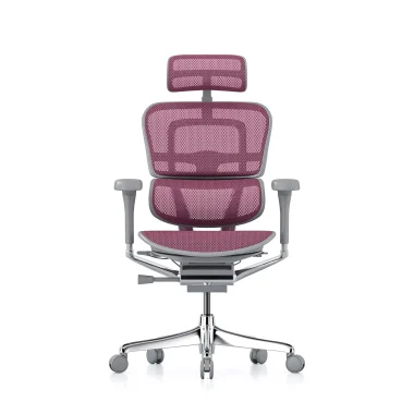 Ergohuman 2 Elite Platinum Mesh II Pink