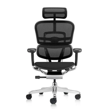 Ergohuman 2 Elite Mesh II