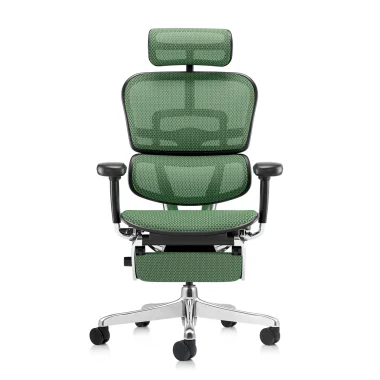 Ergohuman 2 Elite Mesh II Green Legrest