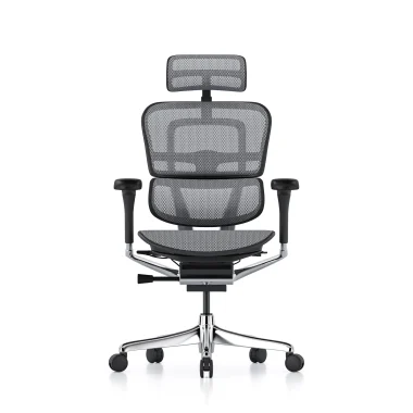 Ergohuman 2 Elite Mesh II Grey