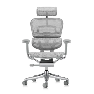 Ergohuman 2 Elite Platinum Mesh II