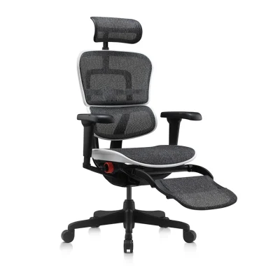 Ergohuman Ultra Gaming Chair Aurora White Legrest